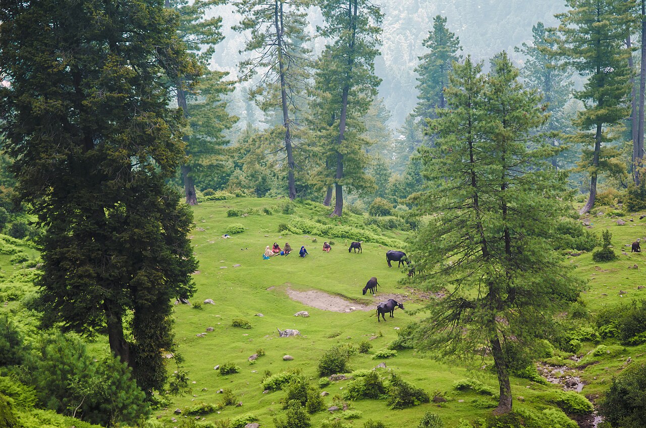 Chasing the Northern Areas: A First-Timer's Guide to Pakistan's Mountains